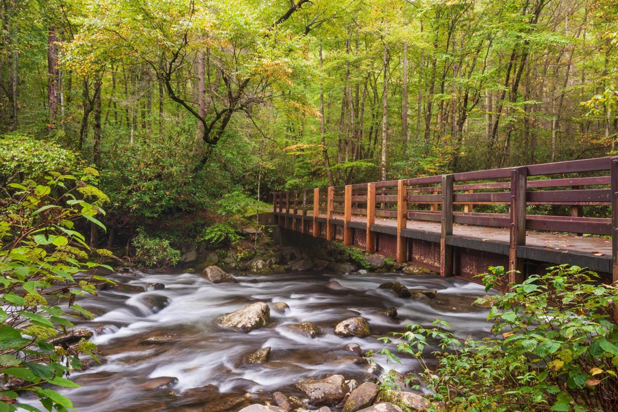 Rock Of Ages, Hot Tub, Game Room, Wifi, 1089 Free Tickets Each Paid Day, Dollywood And More Pigeon Forge Kültér fotó